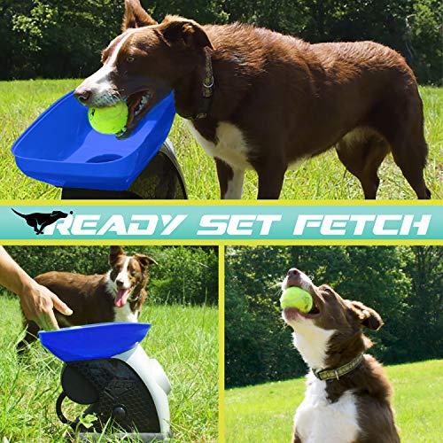 Franklin Pet Supply Co. Ready Set Fetch Automatic Tennis Ball Launcher Dog Toy - Electronic Thrower for Fetch + Playtime - Launches up to 40 Feet - Official Size - color: Blue/Black
