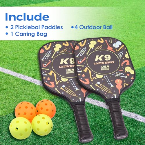 Pickleball Paddles, USAPA Approved Fiberglass Surface Pickleball Set with 2 Paddles and 4 Balls, Pickleball Paddles Set for Men Women with Carring Bag
