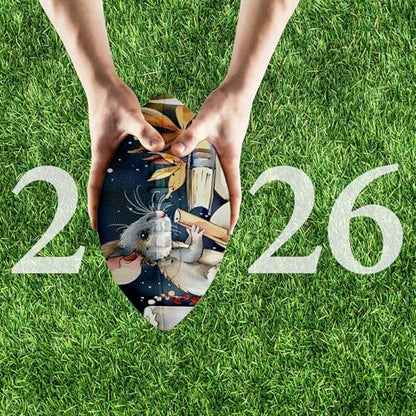 American Football, Official Size 11.9 x 7.3 Inch, Premium Composite Leather High-Grip Ball with Pro-Style Lacing, Unique Prints for Training, Games & Gifts - color: Mouse Books