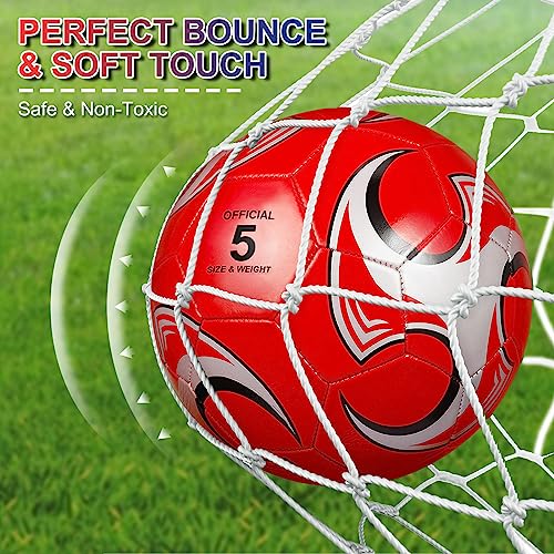 Libima 13 Pcs Soccer Ball Bulk 10 Pcs Official Size 4, 5 Soccer Ball with 2 Pump and Carry Bag Outdoor Indoor Training Practice Football Sports Party Back to School