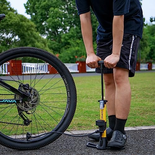 Bike Pump with Pressure Gauge- 160 PSI Bicycle Floor Pump fits Presta & Schrader Valve - Bike Pump with Air Ball Pump Inflator