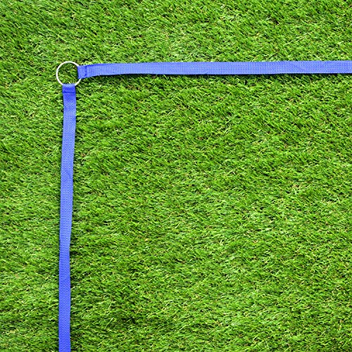 Park & Sun Sports Outdoor Volleyball Boundary Webbing with Ground Stakes