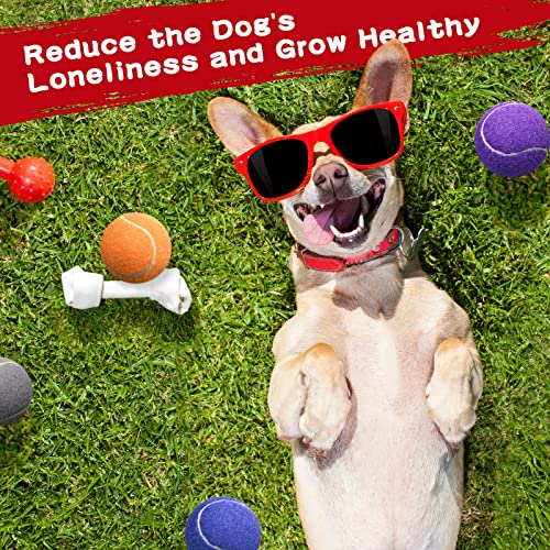 Yunsailing 30 Pcs Dog Tennis Balls 2.4 Inch Dogs Toy Balls Bright Colors Pet Training Toy for Small Medium Large Puppy Indoor Outdoor Interactive Training Exercise Games
