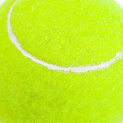 Practice Tennis Balls, Standard Training Exercise Tennis Balls, Rubber Balls for Beginners, Pack of 15