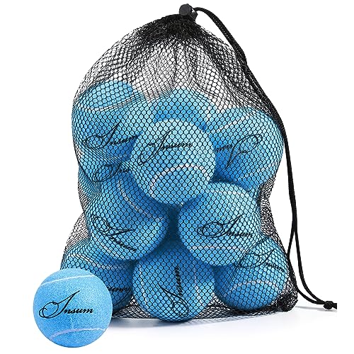 INSUM Bulk Tennis Balls for Beginner – 12 Pack High Elasticity Practice Tennis Balls with Mesh Bag, Suit for Pet Dog Training, Fetching - color: Light Blue
