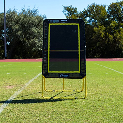 Champion Sports Deluxe Lacrosse Target: Ball Return Bounce Back Net Set for Professional, College and Grade School Training & Drills - style: Deluxe XL Rebounder (4' x 6')