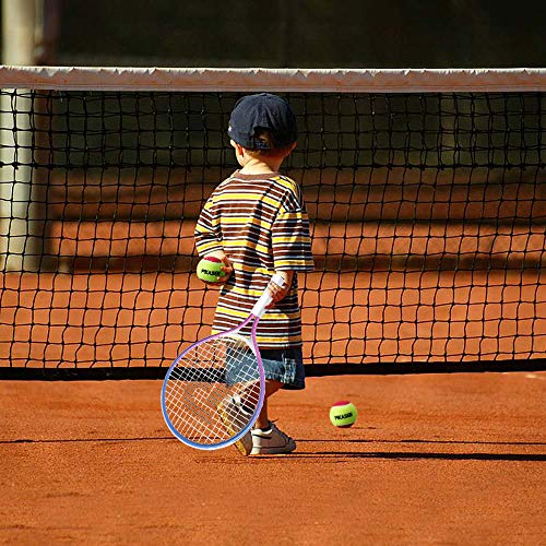 17" Kids Tennis Racket Best Starter Kit for Kids Age 4 and Under with Shoulder Strap Bag and Mini Tennis Racket Toddler Tennis Raquet - color: 17 inch Pink