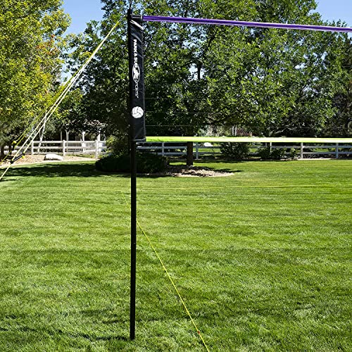 Park & Sun Spiker Sport Portable Outdoor Volleyball Net System – Blue Net, Regulation Size 32' L x 3' H, Adjustable Height, Lightweight, Includes Carrying Bag for Backyard and Beach Play
