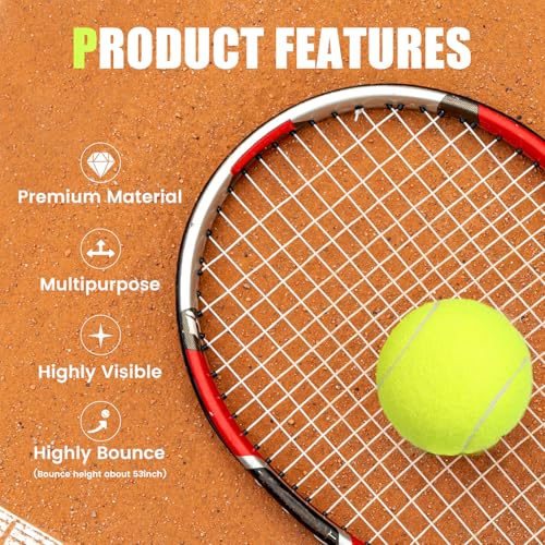 24 Pack Tennis Balls, Training Tennis Balls, Pet Dog Playing Balls, Practice Tennis Balls with Mesh Bag for Transport and Beginner Training