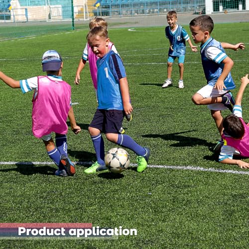 Boyiee Pinnies Scrimmage Vests, Nylon Mesh Team Practice Jersey Youth Pinnies for Sports Basketball Soccer Football - color: Rose Red and Blue