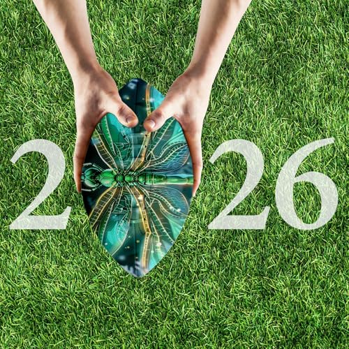 American Football, Official Size 11.9 x 7.3 Inch, Premium Composite Leather High-Grip Ball with Pro-Style Lacing, Unique Prints for Training, Games & Gifts - color: Green Art Butterfly