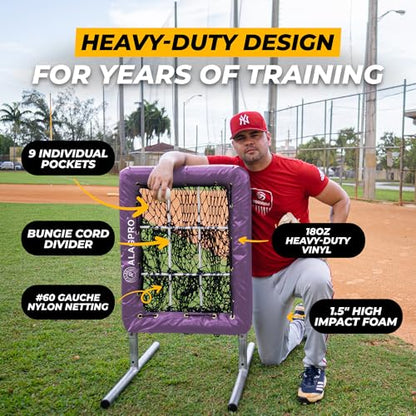 ALAGPRO® 9 Hole Pitching Net with Strike Zone - Baseball and Softball Training - Batting, Throwing and Hitting Practice Equipment - Portable, Backyard Setup