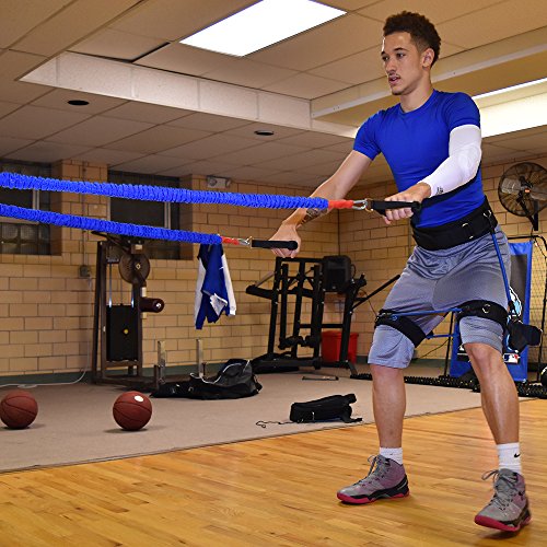 Acceleration Speed Cord Bungee Multi-Sport Resistance Training Kit - Improve Strength, Power, Agility, Vertical Jumping, Sprint Speed – 3 Waist Belt Sizes (S, M, L) Available - Kinetic Bands - size: Large (40+ inch waist)