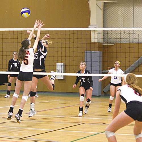 GoSports Competition Volleyballs