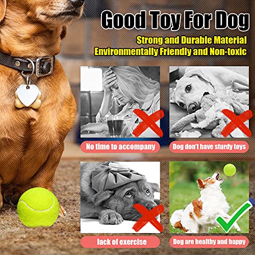 GKK Durable Pressurized Tennis Balls - 12 Pack Yellow Felt Training Balls for Beginners and Dogs - color: orange tennis balls