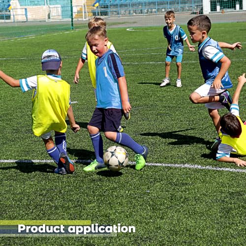 Boyiee Pinnies Scrimmage Vests, Nylon Mesh Team Practice Jersey Youth Pinnies for Sports Basketball Soccer Football - color: Fluorescent Green and Blue