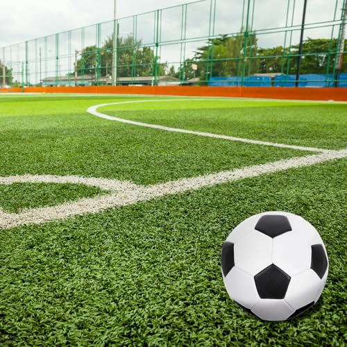 TOYANDONA Size 5 Pu Soccer Ball for Training and Outdoor Play, Machine-Stitched Football for Youth, Sturdy Football Ball Suitable for Team Soccer Practice and Games