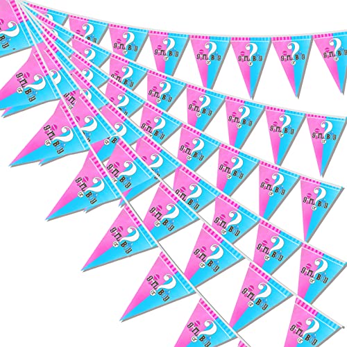 49ft Gender Reveal Birthday Decorations Pennant Flag Banner Theme Triangle Flags Banner for Birthday Party - color: Gender Reveal