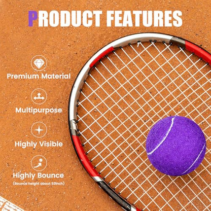 24 Pack Tennis Balls, Training Tennis Balls, Pet Dog Playing Balls, Practice Tennis Balls with Mesh Bag for Transport and Beginner Training